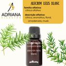 Essência Concentrada 100 ML Alecrim lelis blanc