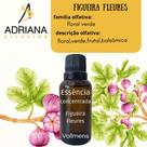 Essência Concentrada 100 ML Figueira Fleures