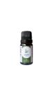 Essência Concentrada Alecrim 10mL