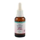 Essência Concentrada Blossom Flower - 30ml