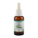 Essência Concentrada Chá Bamboo -30ml