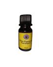 Essência Concentrada Eucalipto 10ml: Purifica Ar, Alivia Congestão e Estimula Foco