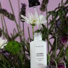 Essência Concentrada Lavanda Francesa 30ml