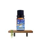 Essência Conforto Com Óleo De Eucalipto Globulus ViaAroma 10ml Essência Conforto Com Óleo De Eucalipto Globulus ViaAroma 10ml