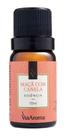 Essência De Maçã Com Canela 10 Ml Via Aroma Essência De Maçã Com Canela 10 Ml Via Aroma