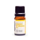 Essencia dolcce aroma 10ml semente de girassol