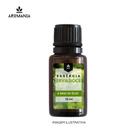 Essência Erva Doce 10 ml Essência Erva Doce 10 ml