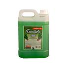 Essência Eucalipto Aromatizante Concentrado Para Sauna 5l