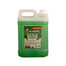 Essência Eucalipto Aromatizante Concentrado Para Sauna 5L