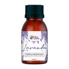 Essência Hidrossolúvel 100ml Lavanda Essência Hidrossolúvel 100ml Lavanda