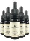 Essência Hidrossolúvel de Alecrim 20ml - Amo Aroma