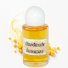Essência Incenso 10ml Aromatização Purificação Elevação Espiritual