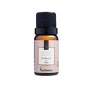 Essência Jasmim Branco ViaAroma 10ml Essência Jasmim Branco ViaAroma 10ml