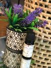 Essencia lavanda - 10 ml