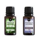 Essência Lavanda e Alecrim a Base de Óleo 10ml - Para Difusor de Ambiente e Aromatizador Essência Lavanda e Alecrim a Base de Óleo 10ml - Para Difusor de Ambiente e Aromatizador