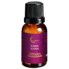 Essência Líquida Aromatizador Difusor Diversos Aromas 15 ml Fragrância:Kama Sutra