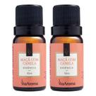 Essência Maça Com Canela 2 X 10ml - Via Aroma Essência Maça Com Canela 2 X 10ml - Via Aroma