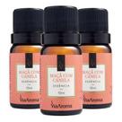 Essência Maça Com Canela 3 X 10ml - Via Aroma Essência Maça Com Canela 3 X 10ml - Via Aroma