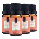 Essência Maça Com Canela 4 X 10ml - Via Aroma Essência Maça Com Canela 4 X 10ml - Via Aroma
