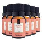 Essência Maça Com Canela 6 X 10ml - Via Aroma Essência Maça Com Canela 6 X 10ml - Via Aroma