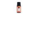 Essência Maçã com Canela Via Aroma - 10ml Essência Maçã com Canela Via Aroma - 10ml