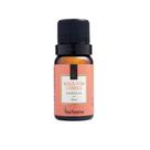 Essência Maçã Com Canela ViaAroma 10ml Essência Maçã Com Canela ViaAroma 10ml