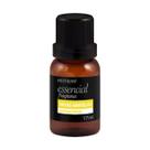 Essencia para Ambiente Rosas Amarelas 17ml Feitiços