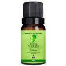 Essência Para Aromatizador / Difusor 10ml - Escolha O Aroma
