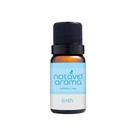 Essencia Para Aromatizador Difusor Umidificador de Ambiente Concentrada Aromas 10ml