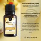 Essência Para Sabão Líquido e Amaciante 10ml Cheiro de Limpeza Roupas Perfumadas