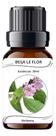 Essência Premium Concentrada Aroma Verbena Para Difusores