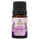 Essência Premium Concentrada de Lavanda 10ml Essência Premium Concentrada de Lavanda 10ml