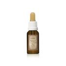 Essência Pura Maça Com Canela 20Ml Essência Pura Maça Com Canela 20Ml