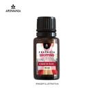 Essência Shopping 10 ml Essência Shopping 10 ml