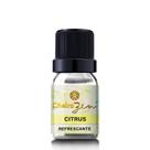 Essência Umidificador e Difusor Elétrico Citrus 10 ml Essência Umidificador e Difusor Elétrico Citrus 10 ml