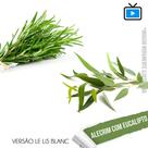 Essência Vela Alecrim com Eucalipto 100ml