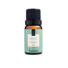 Essência Via Aroma 10mL Breeze