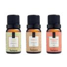 Essência Via Aroma - Kit 3 Aromas Vanilla - Capim Limão - Maça com Canela - para Difusor Aromatizador Essência Via Aroma - Kit 3 Aromas Vanilla - Capim Limão - Maça com Canela - para Difusor Aromatizador