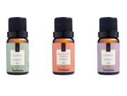 Essencias Bamboo - Lavanda - Maça Com Canela - 3 Unidades Essencias Bamboo - Lavanda - Maça Com Canela - 3 Unidades