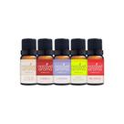 Essencias Para Aromatizador 10ml - Top 5 Aromas Mais Marcantes Notável Aroma