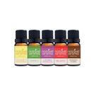 Essencias Para Aromatizador 10ml - Top 5 Fragâncias Notável Aroma