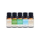 Essencias Para Aromatizador 10ml - Top 5 Maior Saída Notável Aroma