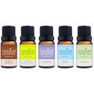 Essencias Para Aromatizador 10ml - Top 5 Mais Vendidas Notável Aroma