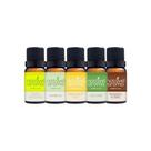 Essencias Para Aromatizador 10ml - Top 5 Notável Aroma