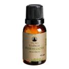 Essências Vila Zen Escolha sua Fragrância 15 ml
