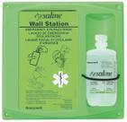 Estação de Lavagem de Olhos Honeywell Fendall Single - 946ml (32oz)