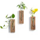 Estação de propagação de plantas para parede Walasis em madeira decorativa
