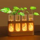 Estação de Propagação de Plantas Varjjae com Luz LED de 9 Níveis