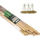 Estacas de bambu Cambaverd 122 cm naturais para suporte de plantas, pacote com 25