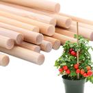 Estacas de Bambu para Tutor de Plantas: 70cm x 6mm - 400un
